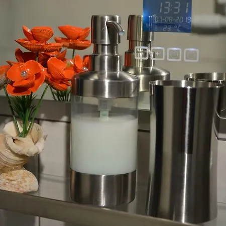 Zielona Przystan Apartment *