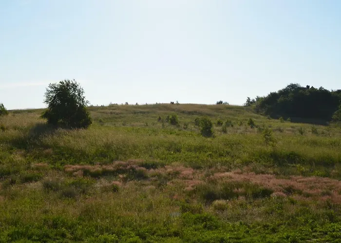 Apartman Zielona Przystan